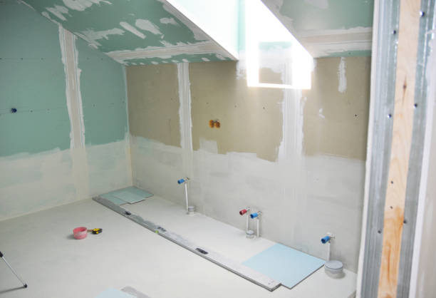 Trusted Alsip, IL Mold Removal Experts