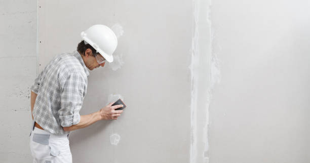 Best Attic Mold Removal  in Alsip, IL