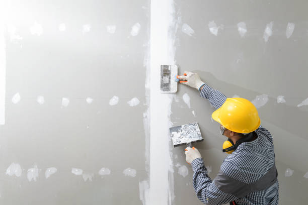 Best Black Mold Removal  in Alsip, IL