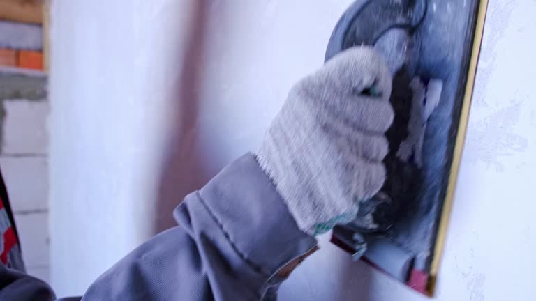 Best Biohazard Mold Removal  in Alsip, IL