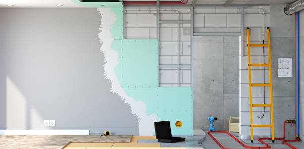 Trusted Alsip, IL Mold Removal Experts