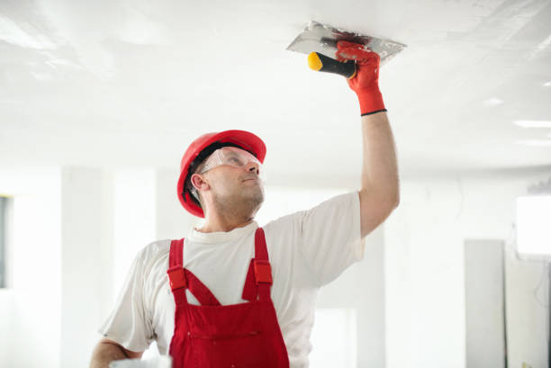 Best Mold Prevention Services  in Alsip, IL