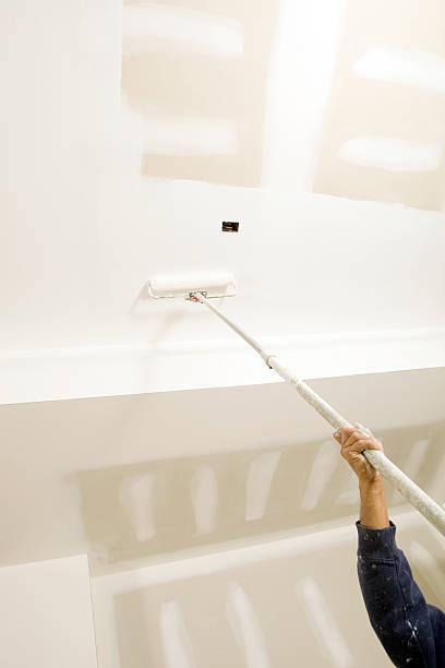 Best Mold Documentation for Insurance Claims  in Alsip, IL