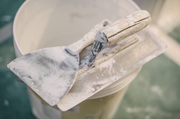 Best HVAC Mold Inspection and Cleaning  in Alsip, IL
